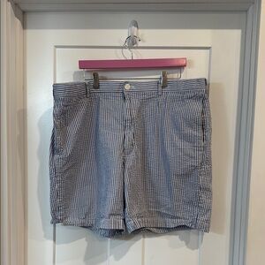 Brooks Brothers Blue and White Flat Front Shorts